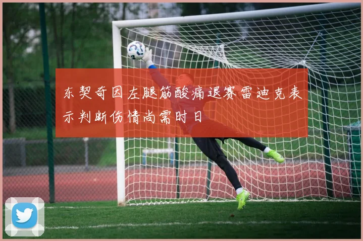 东契奇因左腿筋酸痛退赛雷迪克表示判断伤情尚需时日